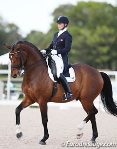Canadian Pia Fortmuller moved from Germany to Wellington for the season. Here she's competing Balesteros in the developing Grand Prix