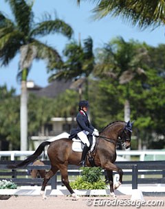 Beatiful photography in the national show ring at the 2017 CDI Wellington. Charlotte Jorst on Ray Dance :: Photo © Astrid Appels