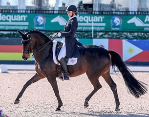 Adrienne Lyle and Horizon at the 2017 CDI Wellington :: Photo © Sue Stickle