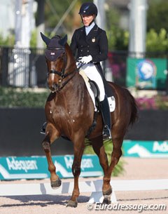 Arlene Page's Woodstock has gained much strength and muscle. The piaffes are still small with little lift in the front leg but the canter work is excellent