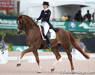 Susan Pape and Fiorano at the 2017 CDI Wellington :: Photo © Astrid Appels