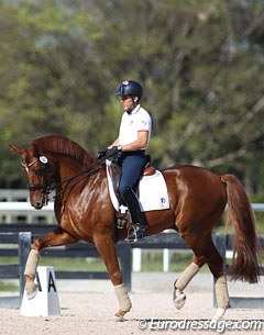 Cesar Parra on the Ghribi's Oldenburg bred Darius Rubin (by Dressage Royal x Rohdiamant)