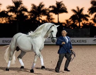 Tom Reed and Encanto at the 2017 USPRE Week :: Photo © Lily Forado