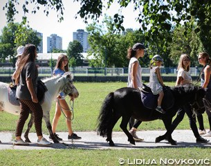 Pony rides in the park