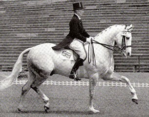 Brenda Williams and Little Model at the 1961 European Championships in Aachen. They were 3rd behind Neckermann on Asbach and Filatov on Absent