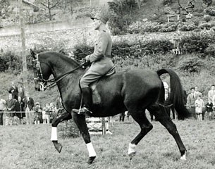 Chammartin presenting Woermann to the crowds in Switzerland (ca. 1963)