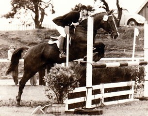 Philipp Becker did quite some show jumping at the beginning of his riding career
