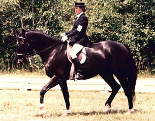 Susan Rothgeb