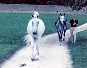  If Katja worked one of her horses in the outdoor arena Stephan also accompanied them and was grazing as long as they worked before returning home with them