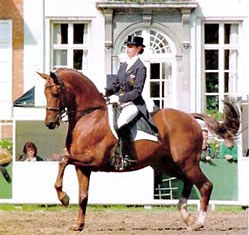 Anky van Grunsven and Cocktail at the 1996 CDI Schoten :: Photo © Dirk Caremans