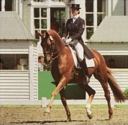 Canadian Penny Zavitz and Winsome at the CDI Schoten in Belgium :: Photo © Dirk Caremans
