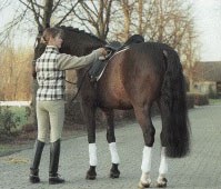 Delphine Meiresonne getting ready to ride Noble Casper