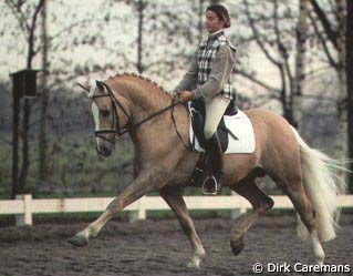 Delphine Meiresonne and Top Yellow (by Till the Champ) :: Photo © Dirk Caremans