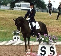 Katrien Verreet on Muldershof Chico (New Forest Pony by Elegant)