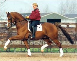 Annemieke Vincourt on Houston
