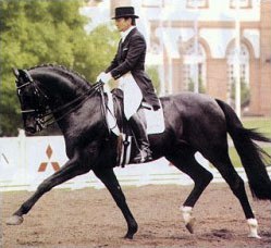 Karin Rehbein and Don Primero at the CDI Wiesbaden