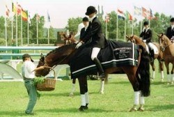 The winning pony gets a basket full of carrots