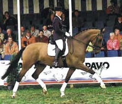 Anne van Uytert-Franssen and Lucky Times Win the 1998 Pavo Cup Finals :: Photo © Jacob Melissen