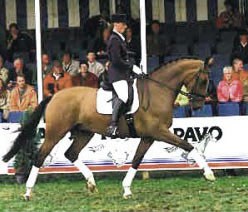 Anne van Uytert-Franssen and Lucky Times Win the 1998 Pavo Cup Finals :: Photo © Jacob Melissen