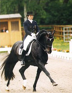 Karin Rehbein on Don Primero