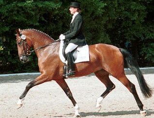 Nicole Casper and FBW Lettina at the 1999 Bundeschampionate :: Photo © Steven Stegen