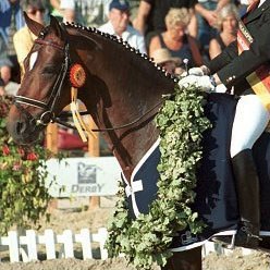 Don Larino, 3-year old Stallion Champion at the 1999 Bundeschampionate :: Photo © Steven Stegen