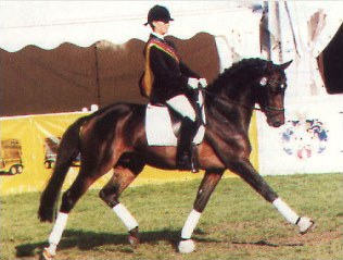 Julia Katharina von Platen with Keep Cool at the 1999 Bundeschampionate