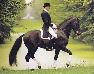 Lorentin I (by Loutano x Latino)