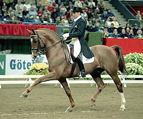 Pether Markne and Flyinge Amiral