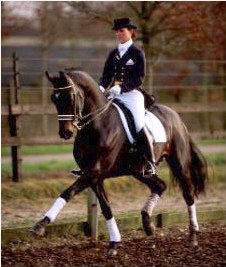 Leida Strijk on Kennedy (by Ferro x Saluut) :: Photo © Arnd Bronkhorst