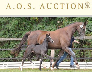 The 2013 AOS Auction on 13 October 2013
