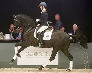 Follow the 2015 Excellent Dressage Sales Collection Presentation online on live streaming
