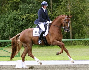 Woodlander Farouche, double World Young Horse Champion