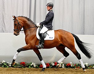 Jeraldo (by Johnson x Argentinus x Rubinstein I)