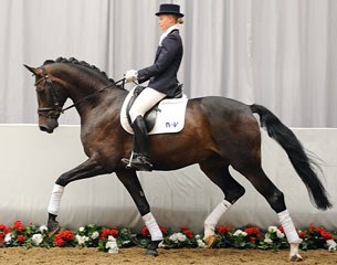 Bundeschampion Sungai for sale at the 2011 NRW Elite Auction