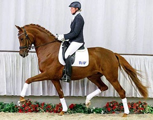 Venezia (by Vitalis x Royal Angelo I) sold to the U.S.A.