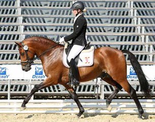 Licensing champion and regional pony champion Olivier K