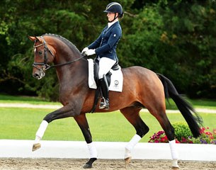 Belmore (by Belissimo M x Fidertanz)
