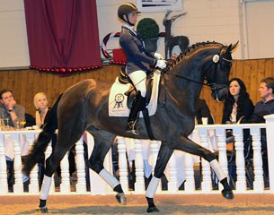 Eva Möller aboard Bluetooth, the dressage price highlight of the 2013 PSI Auction