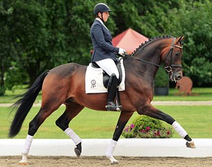 Budhi (by Bordeaux x Likoto xx)