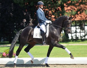 Fior (by Furstenball x Sandro Hit)