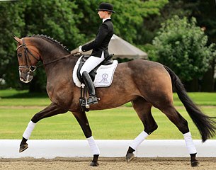 World Young Horse champion Sa Coeur (by Sir Donnerhall I x Don Davidoff x Sandro Hit) is one of the many highlights in the 2012 PSI Auction collection