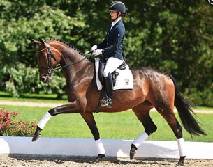 Toskira (by Sir Donnerhall I x Rubinstein I)