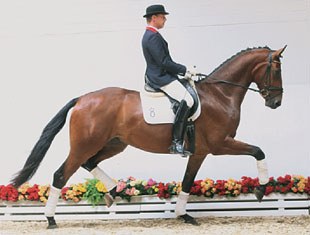 Don Primeur, sensational price highlight of the 2009 Oldenburg Autumn Elite Auction
