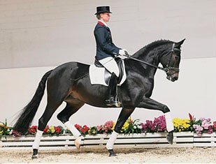 Kira Wulferding aboard the Vechta Auction Horse Equipage
