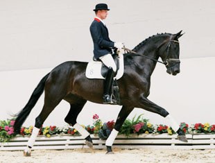 Re Call, a 3-year old State Premium mare by Royal Olymp out of Deluxe (by De Niro x Rubinstein).