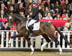 Samhitas at the 2012 Oldenburg Autumn Elite Auction :: Photo © LL-foto.de