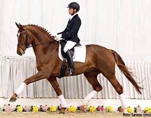 Fritz (by Farewell III x Londonderry) :: Photo © Tammo Ernst