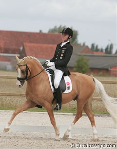 Sönke Rothenberger and Deinhard B (by Dornik B) at the 2009 European Pony Championships :: Photo © Astrid Appels