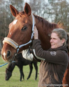 Sarah started with a general check up, looking for tension and hot spots in her muscles going from neck to shoulder, back, hindquarters and legs.